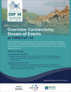 Stream Of Events Flyer 1