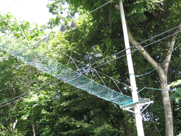 Triangular Aerial Crossings