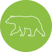 Icon Science